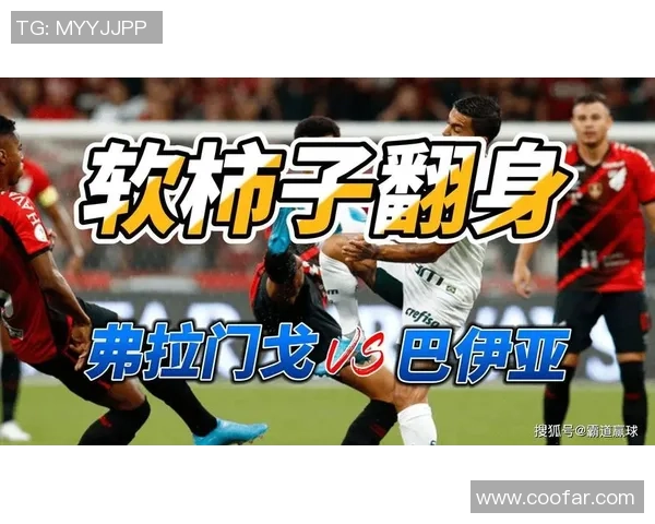 博塔弗戈主场迎战巴伊亚两队状态分析及胜负预测